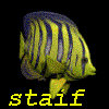 Avatar du membre