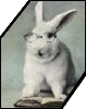 Avatar du membre