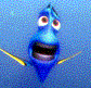 Avatar du membre