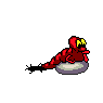 Avatar du membre
