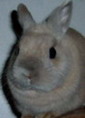 Avatar du membre