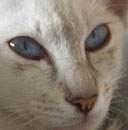 Avatar du membre