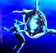 Avatar du membre