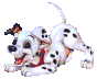 Avatar du membre