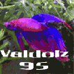 Avatar du membre