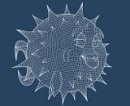 Avatar du membre