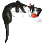 Avatar du membre
