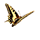 :papillon: